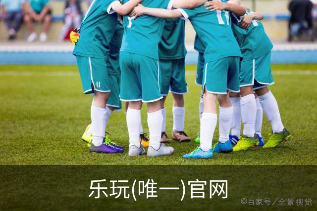 乐玩(唯一)官网企业展示图